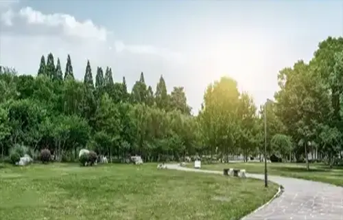 공원 이미지